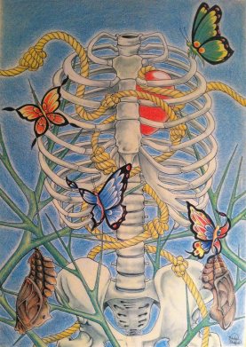 634944095887556476-if-you-have-butterflies-in-your-stomach-is-your-stomach-a-chrysalis